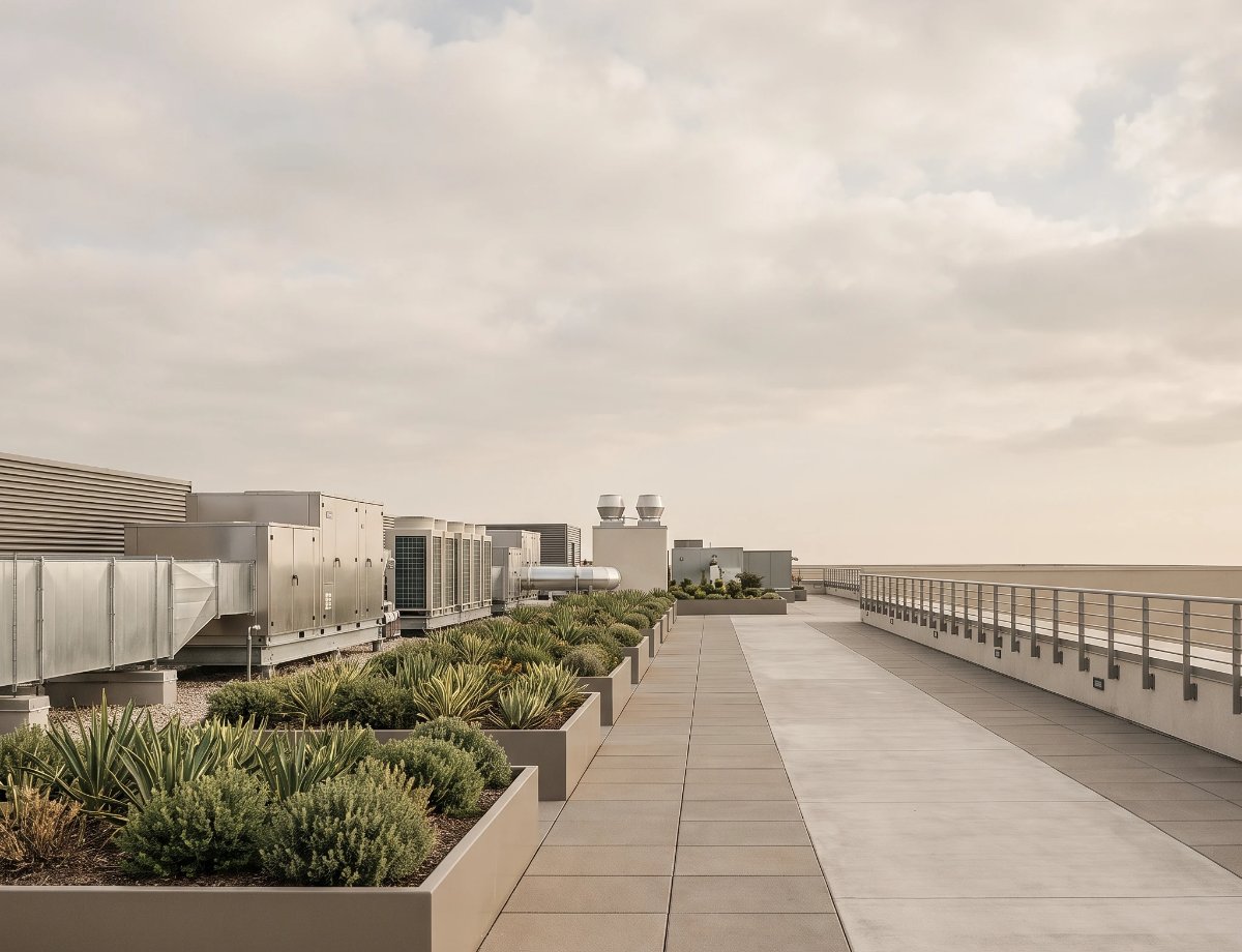 Well-maintained commercial rooftop plant and terrace